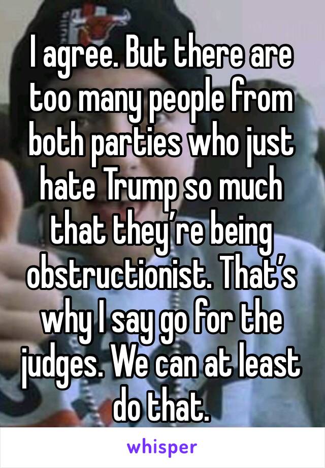 I agree. But there are too many people from both parties who just hate Trump so much that they’re being obstructionist. That’s why I say go for the judges. We can at least do that.