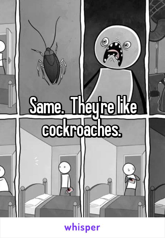 Same.  They're like cockroaches. 
