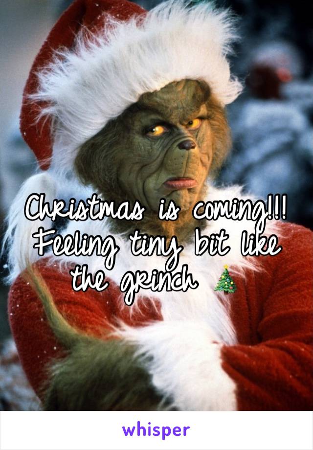 Christmas is coming!!! Feeling tiny bit like the grinch 🎄 