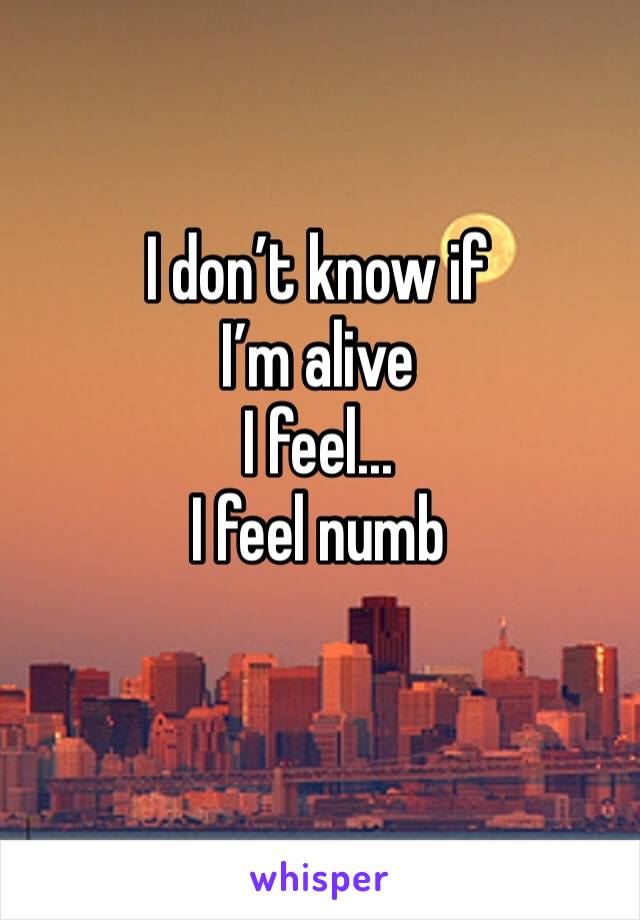 I don’t know if 
I’m alive 
I feel...
I feel numb 