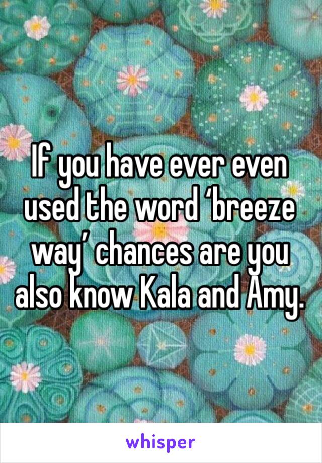 If you have ever even used the word ‘breeze way’ chances are you also know Kala and Amy.