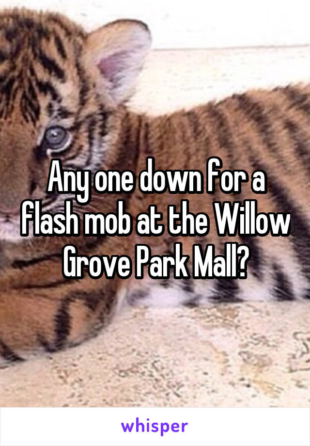 Any one down for a flash mob at the Willow Grove Park Mall?