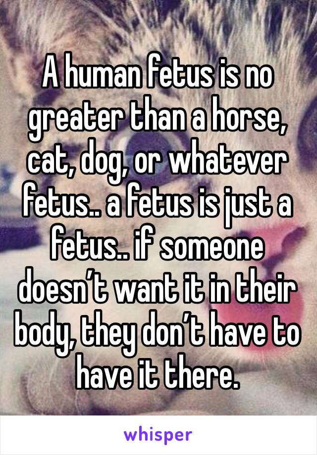 A human fetus is no greater than a horse, cat, dog, or whatever fetus.. a fetus is just a fetus.. if someone doesn’t want it in their body, they don’t have to have it there.
