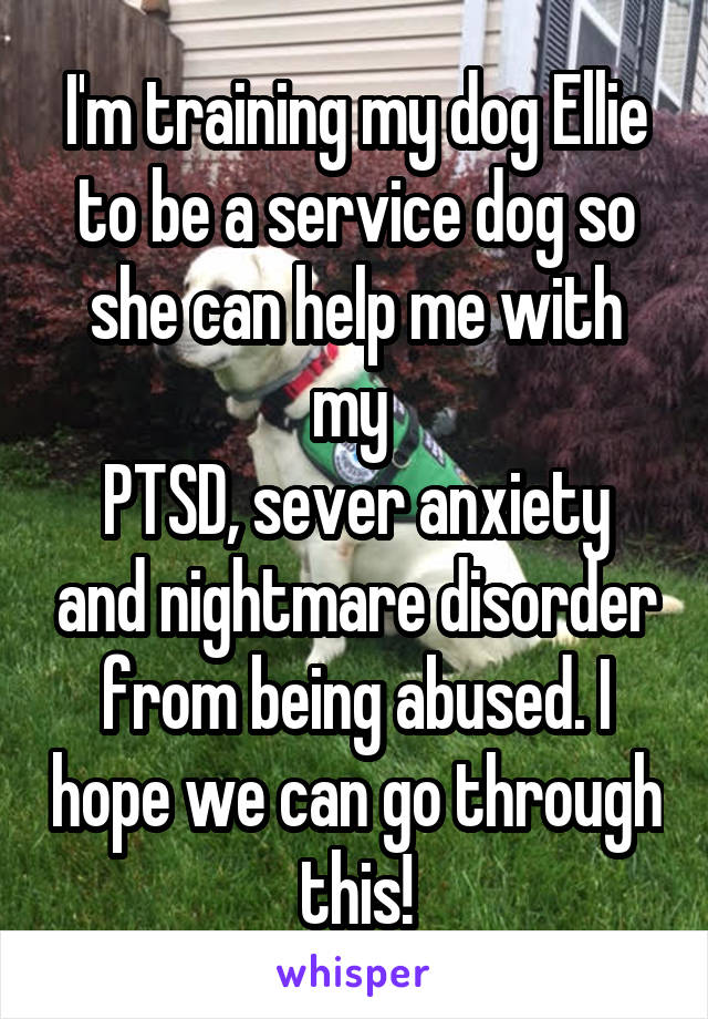 I'm training my dog Ellie to be a service dog so she can help me with my 
PTSD, sever anxiety and nightmare disorder from being abused. I hope we can go through this!