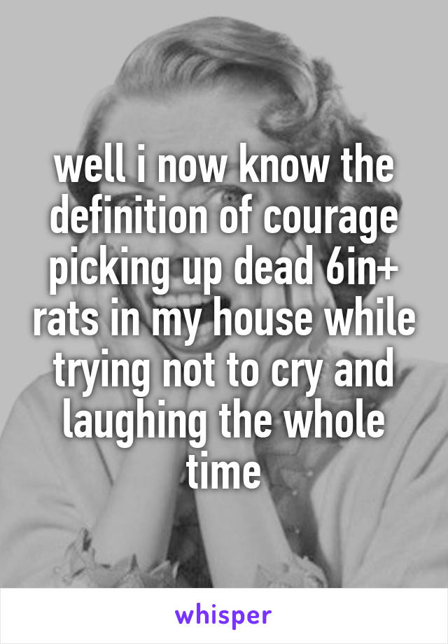 well i now know the definition of courage
picking up dead 6in+ rats in my house while trying not to cry and laughing the whole time