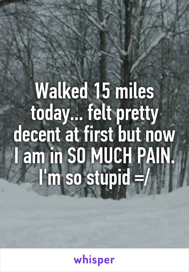 Walked 15 miles today... felt pretty decent at first but now I am in SO MUCH PAIN. I'm so stupid =/