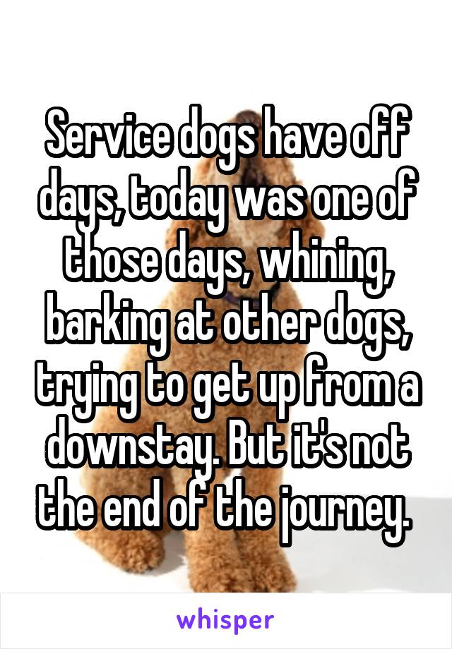 Service dogs have off days, today was one of those days, whining, barking at other dogs, trying to get up from a downstay. But it's not the end of the journey. 