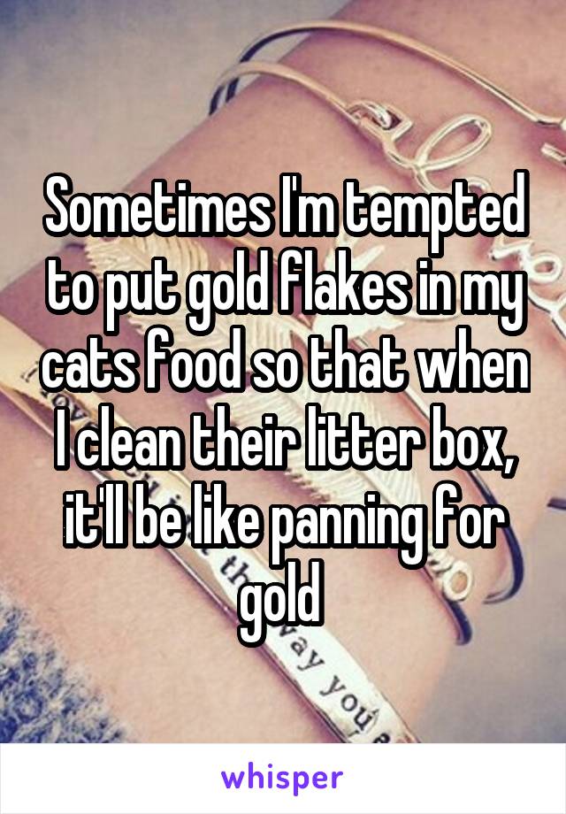 Sometimes I'm tempted to put gold flakes in my cats food so that when I clean their litter box, it'll be like panning for gold 