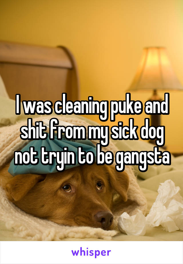 I was cleaning puke and shit from my sick dog not tryin to be gangsta