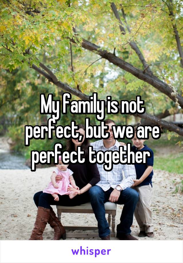 My family is not perfect, but we are perfect together 