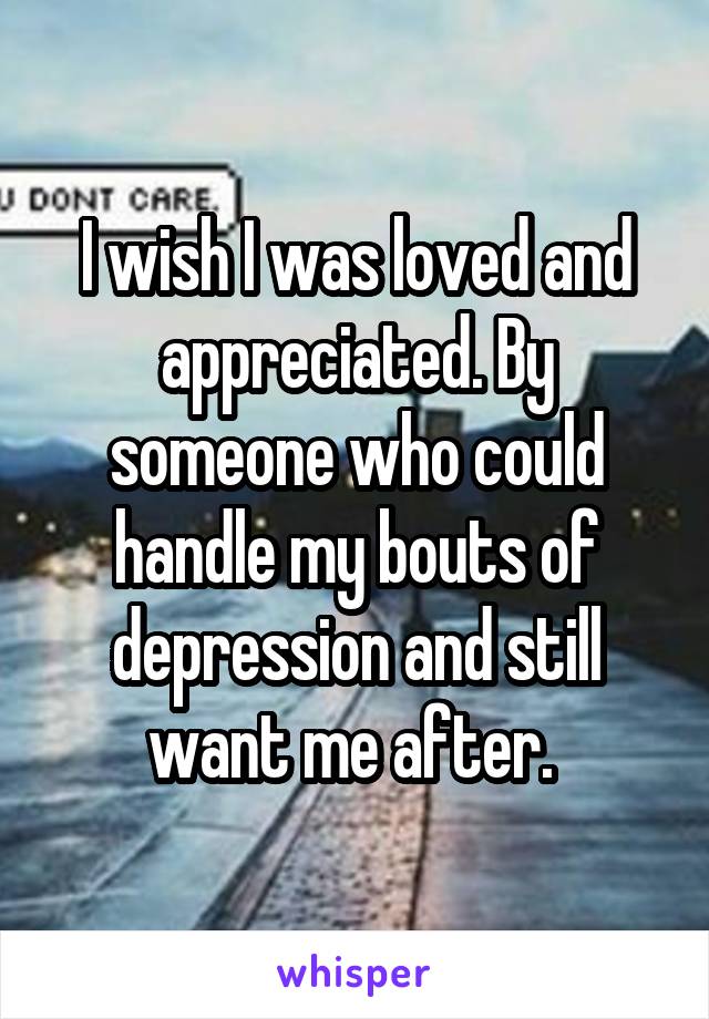I wish I was loved and appreciated. By someone who could handle my bouts of depression and still want me after. 