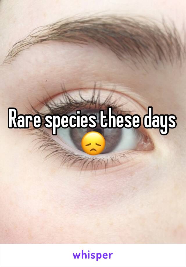 Rare species these days 😞