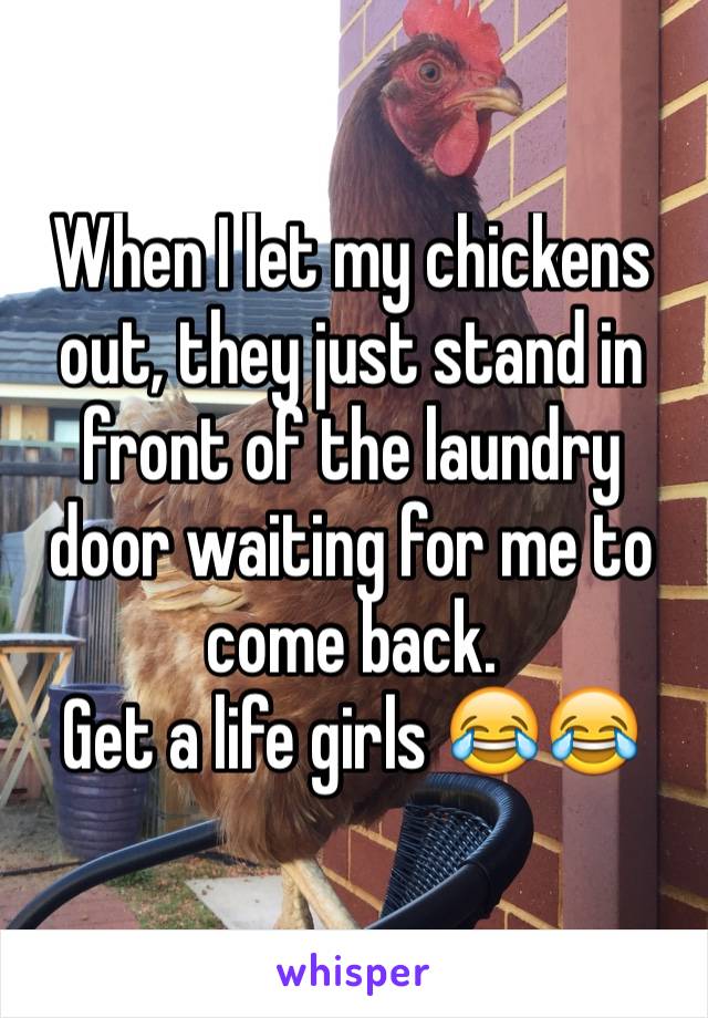 When I let my chickens out, they just stand in front of the laundry door waiting for me to come back. 
Get a life girls 😂😂
