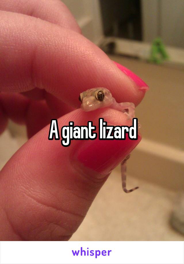 A giant lizard