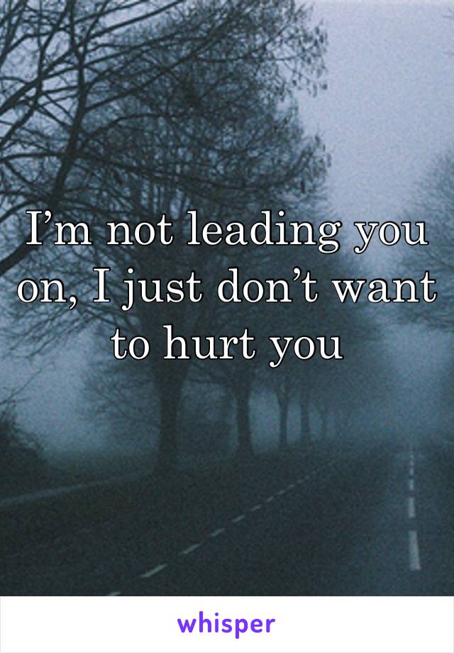 I’m not leading you on, I just don’t want to hurt you