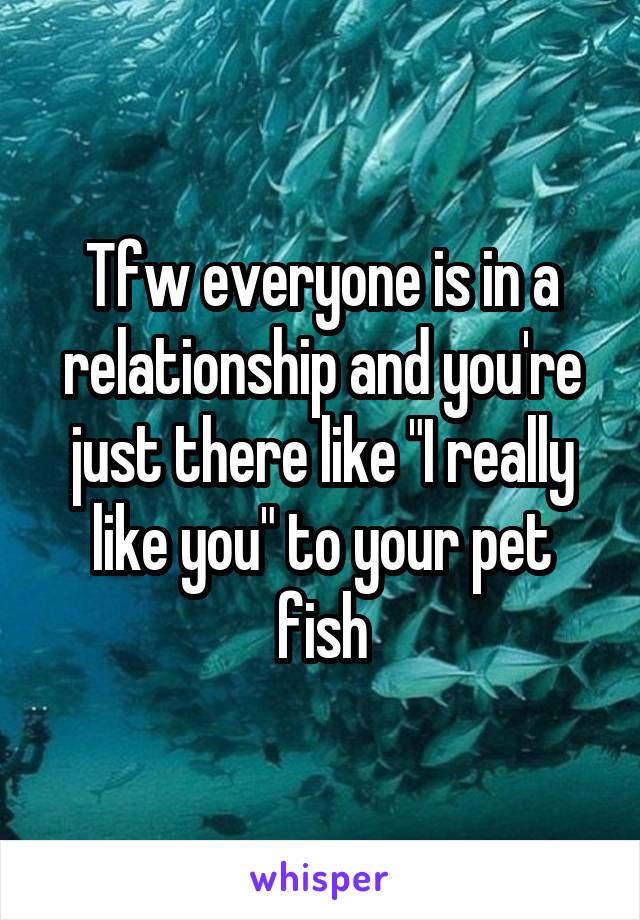 Tfw everyone is in a relationship and you're just there like "I really like you" to your pet fish