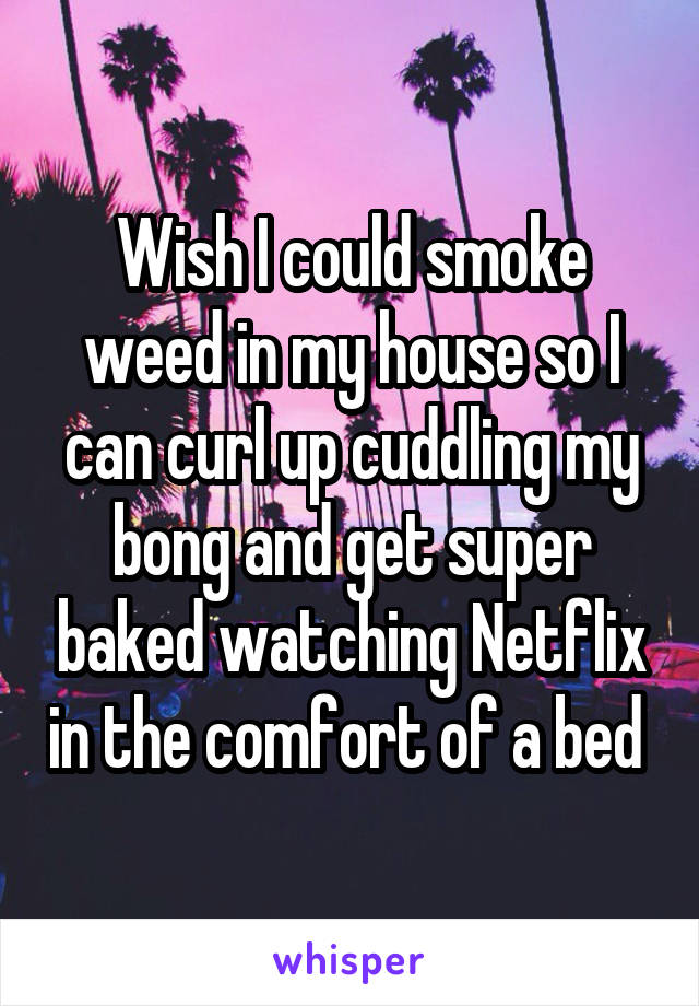 Wish I could smoke weed in my house so I can curl up cuddling my bong and get super baked watching Netflix in the comfort of a bed 