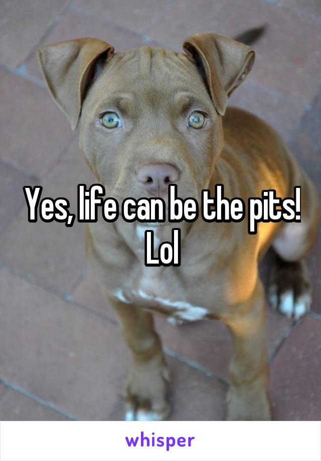 Yes, life can be the pits! Lol
