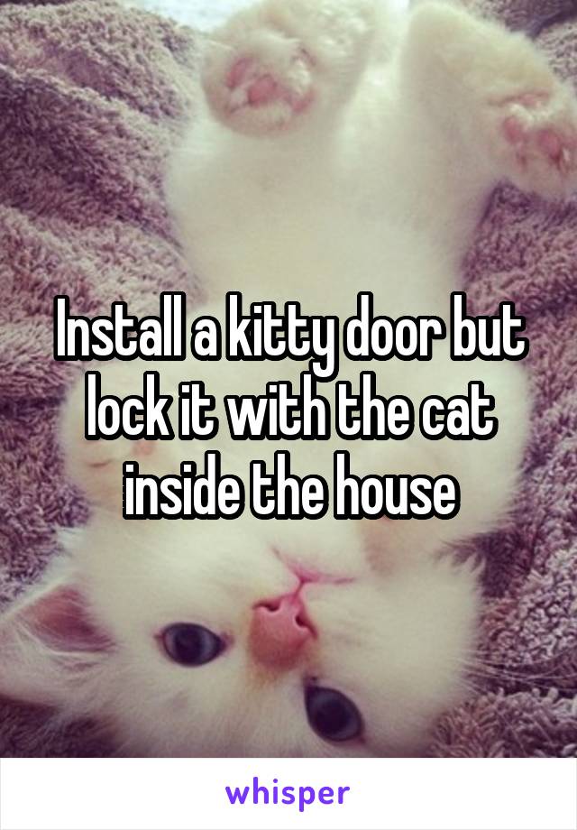 Install a kitty door but lock it with the cat inside the house