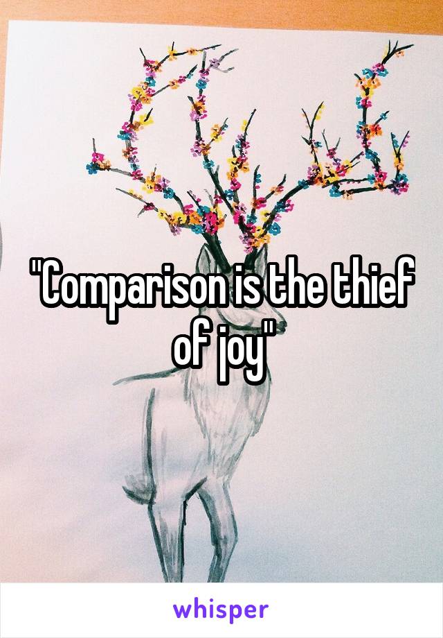 "Comparison is the thief of joy"