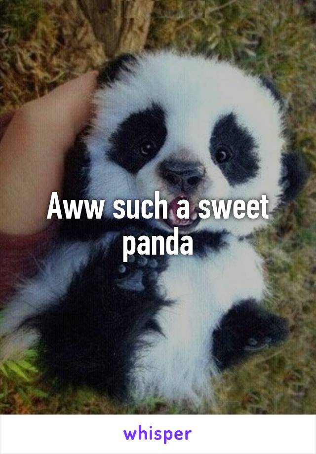 Aww such a sweet panda