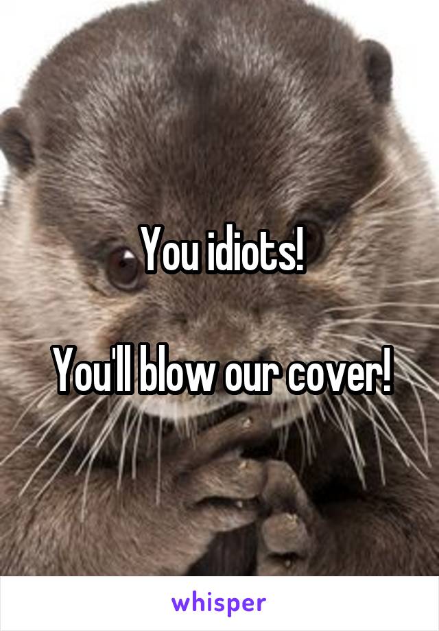 You idiots!

You'll blow our cover!