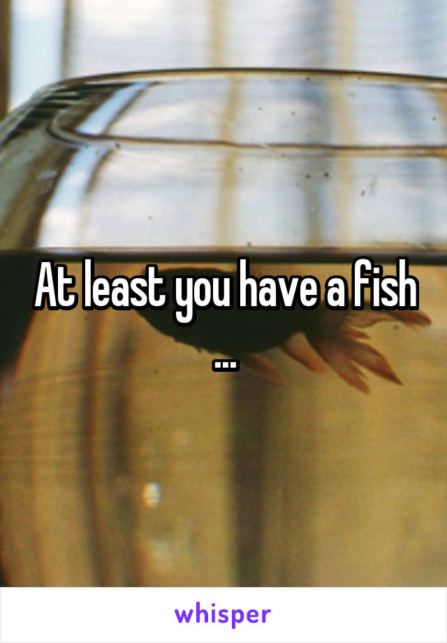 At least you have a fish ...
