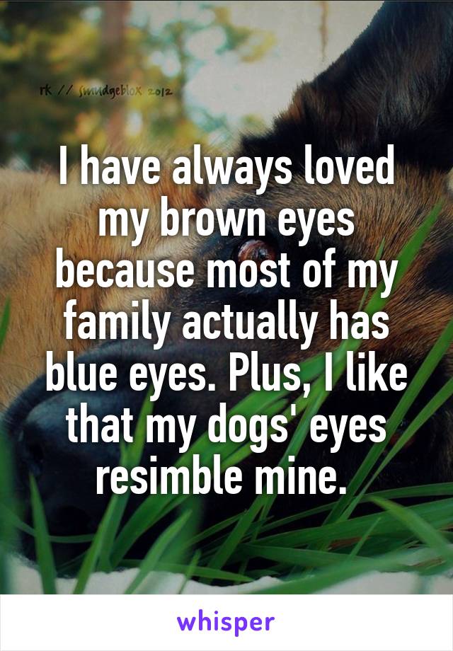 I have always loved my brown eyes because most of my family actually has blue eyes. Plus, I like that my dogs' eyes resimble mine. 