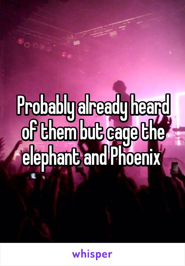 Probably already heard of them but cage the elephant and Phoenix 