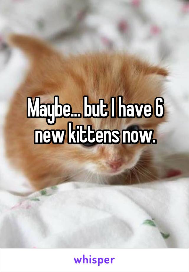 Maybe... but I have 6 new kittens now.
