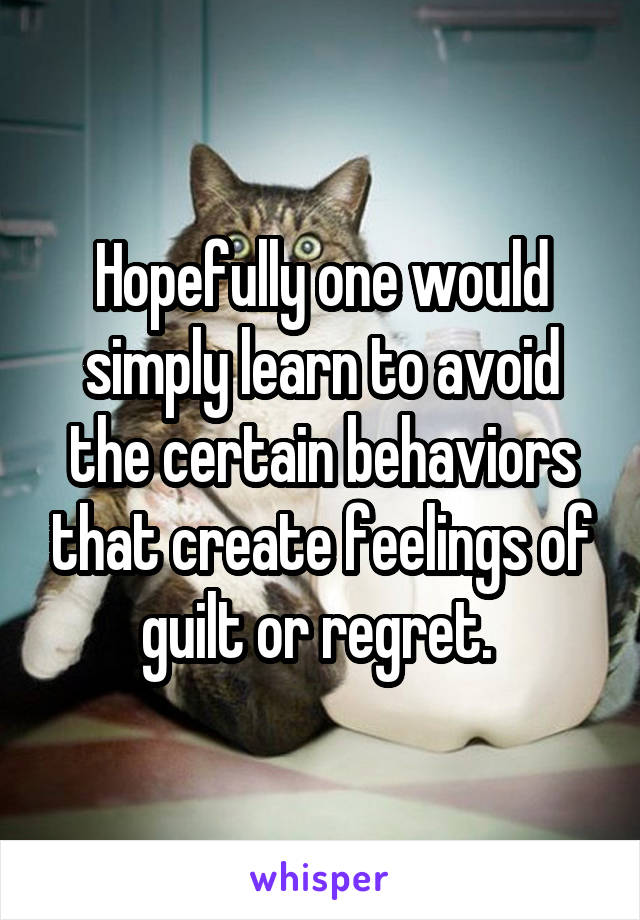 Hopefully one would simply learn to avoid the certain behaviors that create feelings of guilt or regret. 