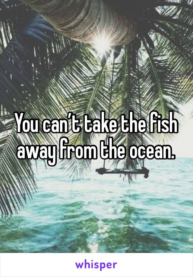 You can’t take the fish away from the ocean.