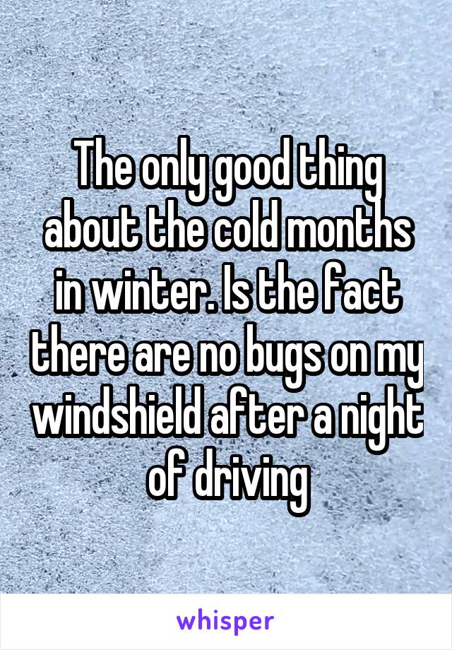 The only good thing about the cold months in winter. Is the fact there are no bugs on my windshield after a night of driving