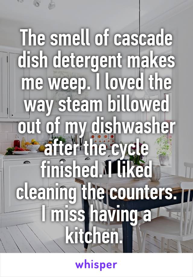 The smell of cascade dish detergent makes me weep. I loved the way steam billowed out of my dishwasher after the cycle finished. I liked cleaning the counters. I miss having a kitchen. 
