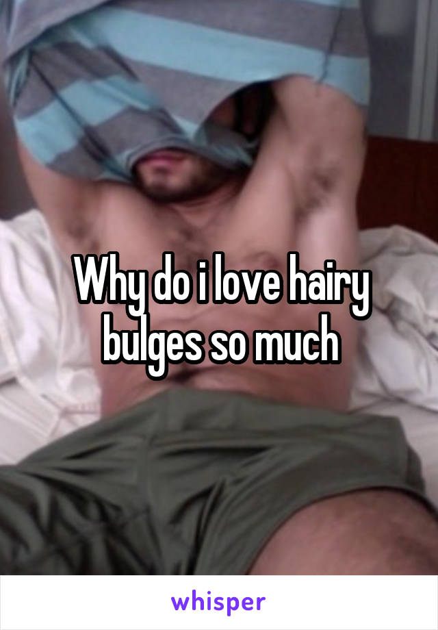 Why do i love hairy bulges so much