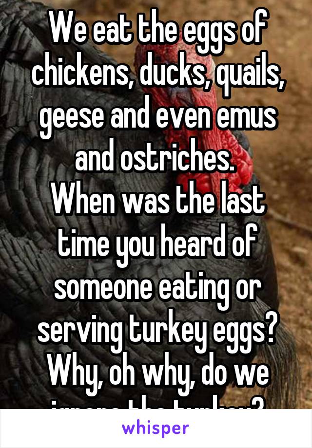 We eat the eggs of chickens, ducks, quails, geese and even emus and ostriches. 
When was the last time you heard of someone eating or serving turkey eggs? Why, oh why, do we ignore the turkey?