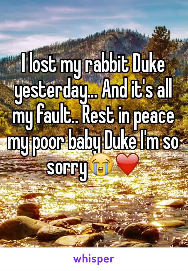 I lost my rabbit Duke yesterday... And it's all my fault.. Rest in peace my poor baby Duke I'm so sorry😭❤️