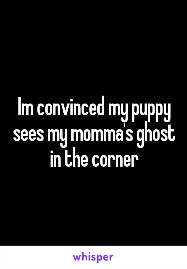 Im convinced my puppy sees my momma's ghost in the corner