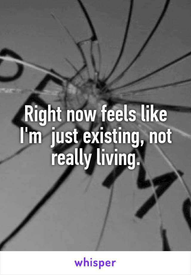 Right now feels like I'm  just existing, not really living.