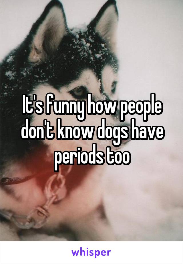 It's funny how people don't know dogs have periods too