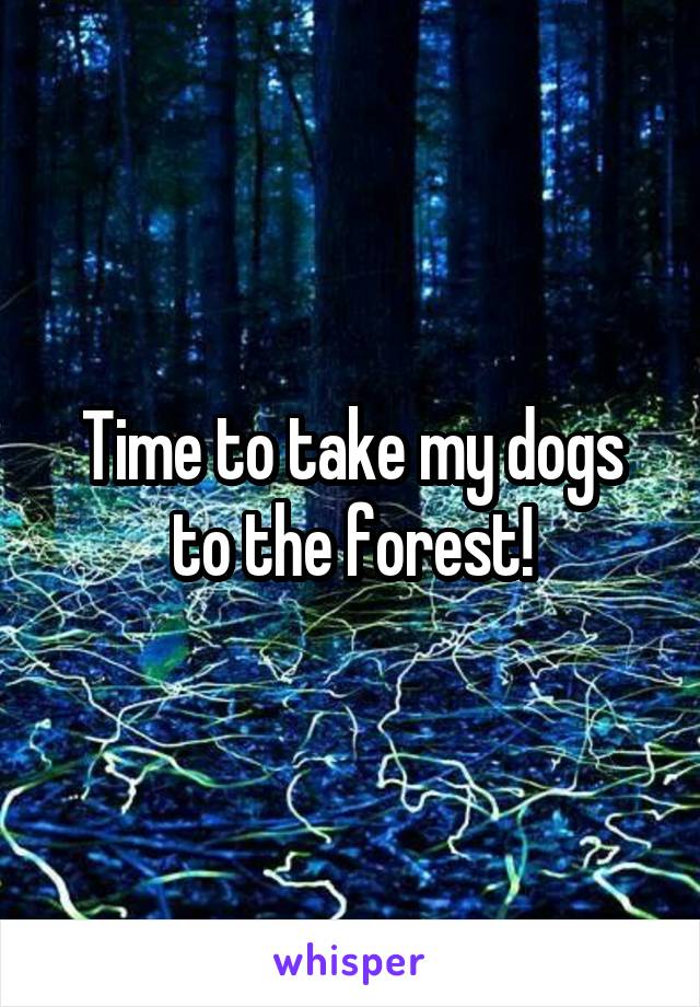 Time to take my dogs to the forest!