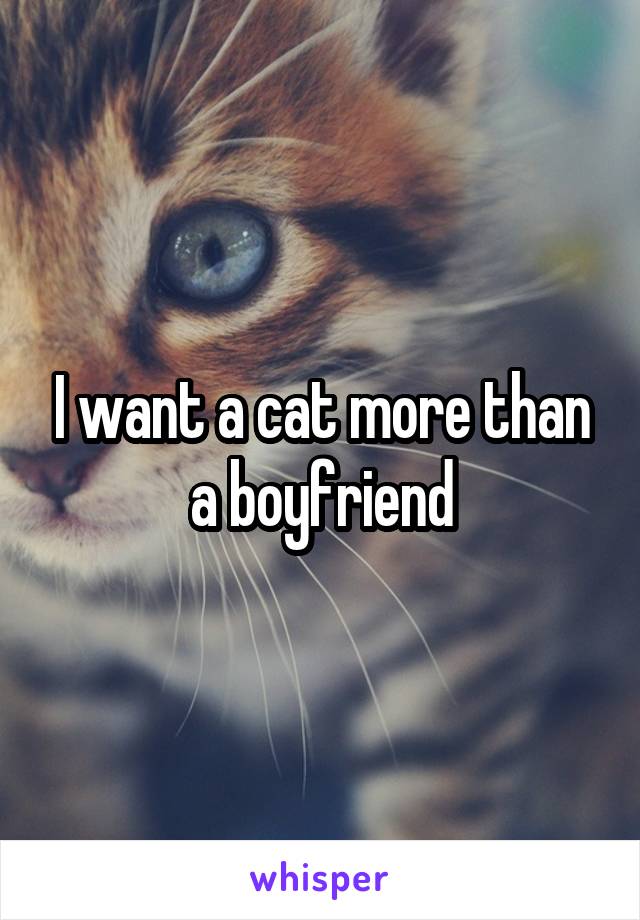 I want a cat more than a boyfriend