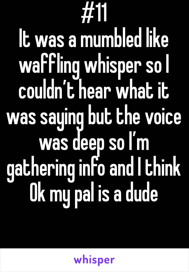 #11
It was a mumbled like waffling whisper so I couldn’t hear what it was saying but the voice was deep so I’m gathering info and I think Ok my pal is a dude 