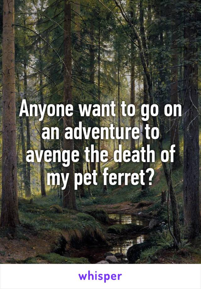 Anyone want to go on an adventure to avenge the death of my pet ferret?
