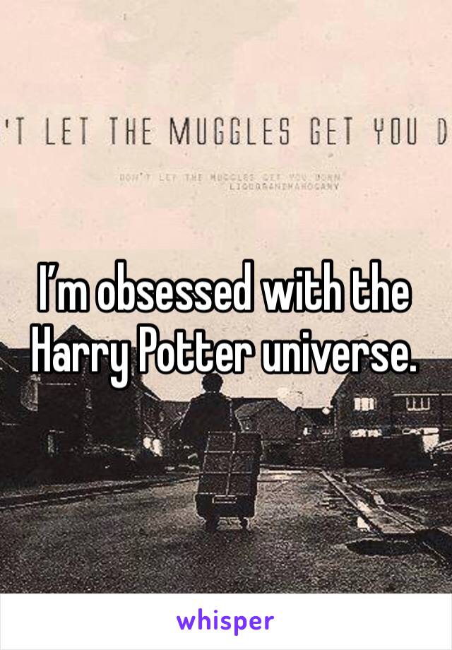 I’m obsessed with the Harry Potter universe. 