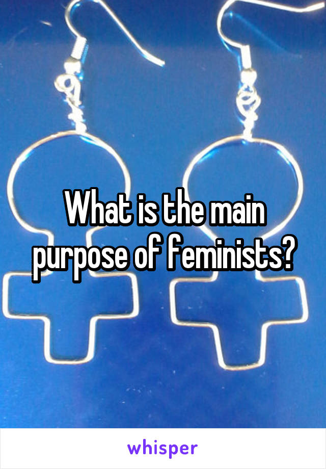 What is the main purpose of feminists?