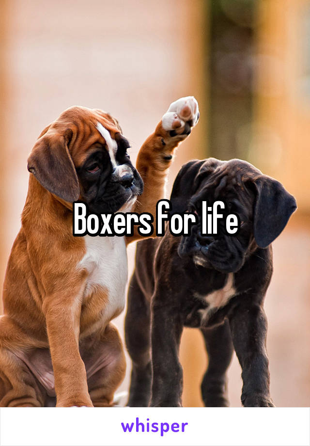Boxers for life