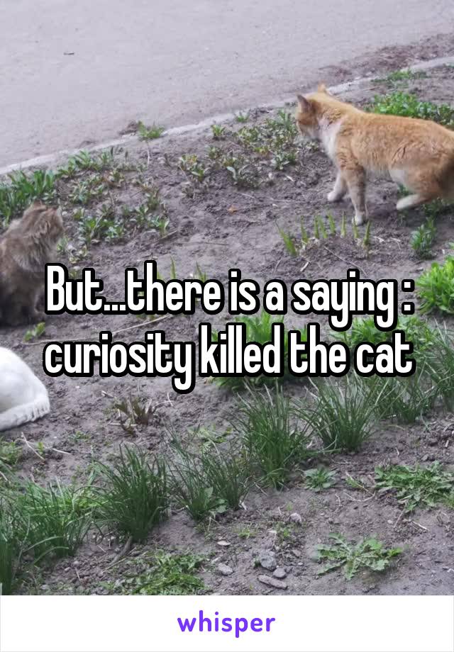 But...there is a saying : curiosity killed the cat