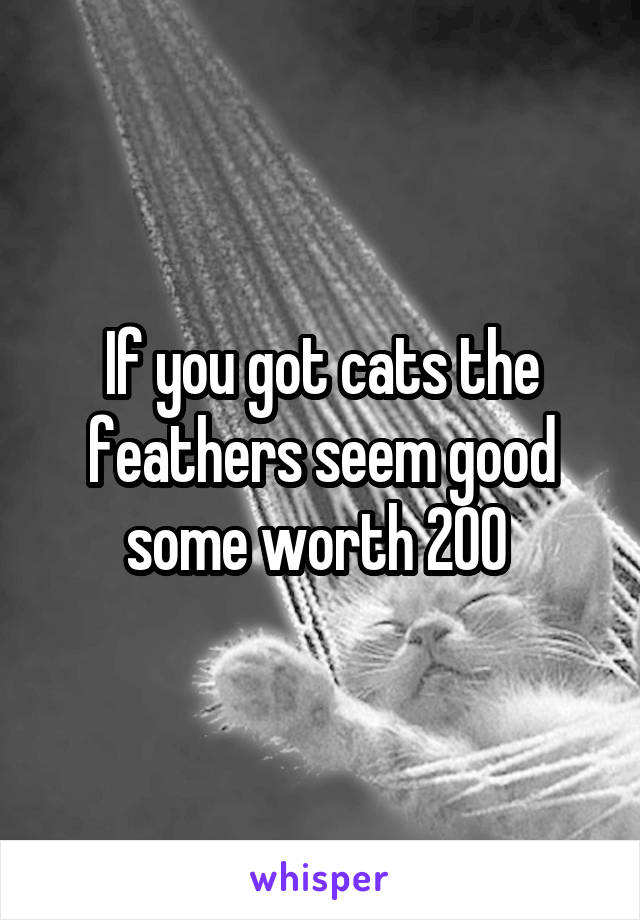 If you got cats the feathers seem good some worth 200 