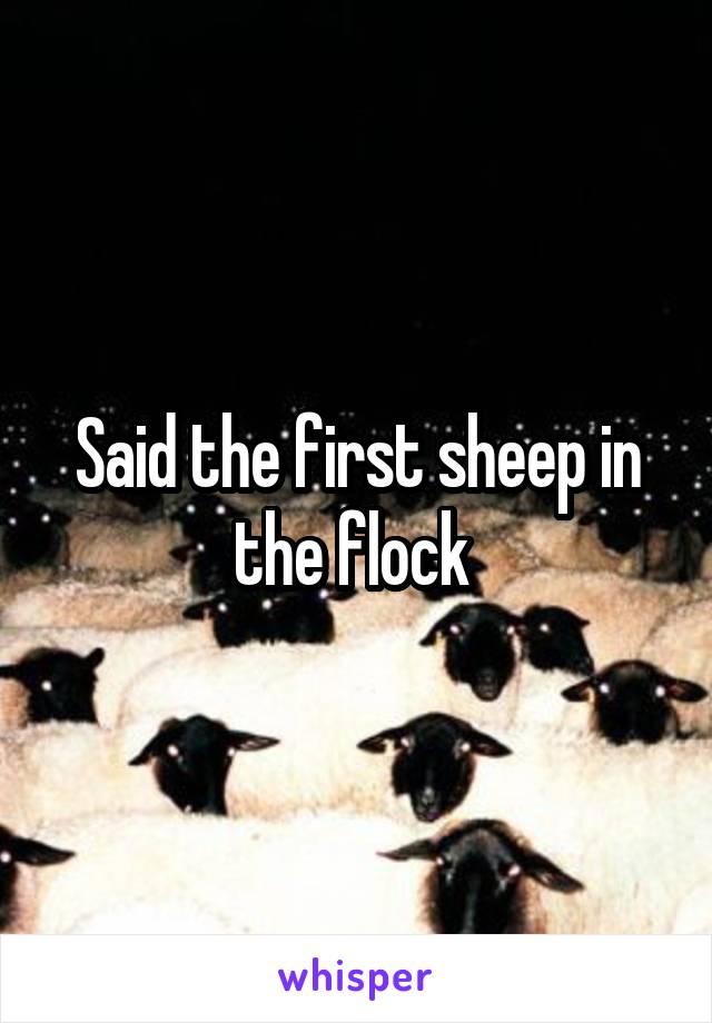 Said the first sheep in the flock 